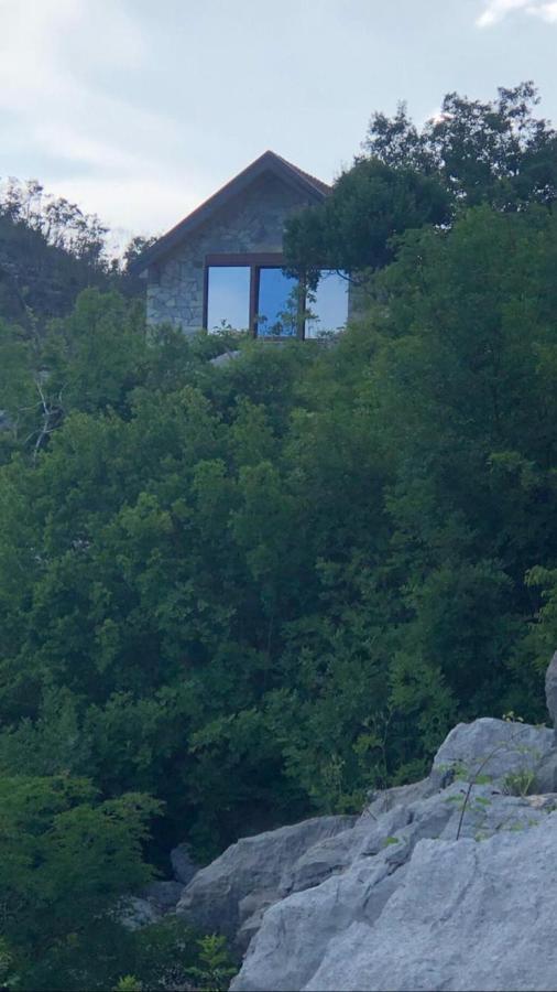 Villa House On The Hill à Cetinje Extérieur photo