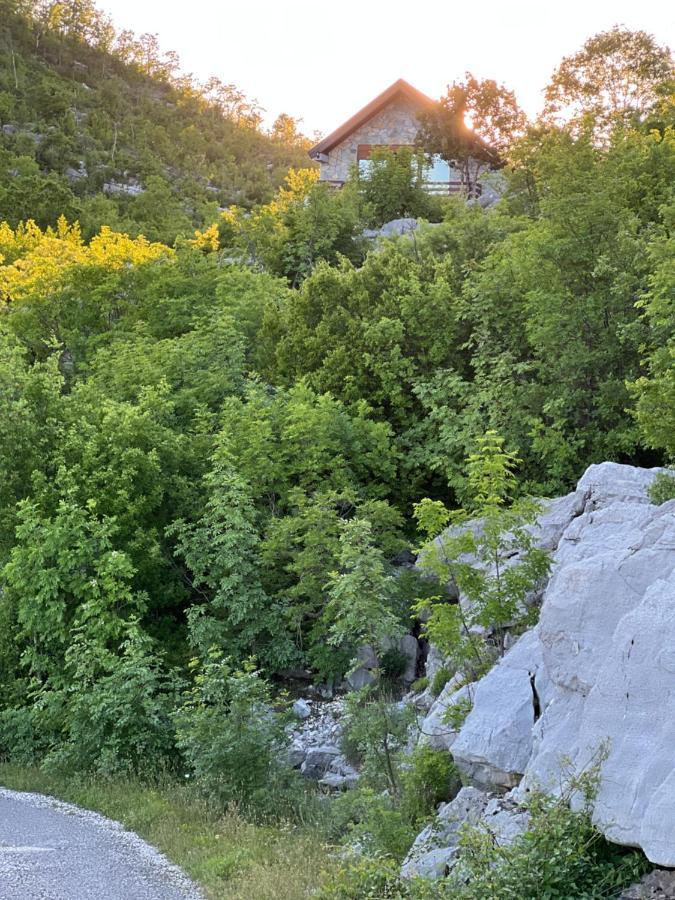 Villa House On The Hill à Cetinje Extérieur photo
